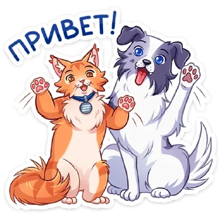 ⭐