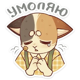 🐱