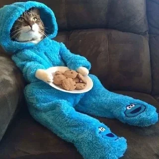 🛏️