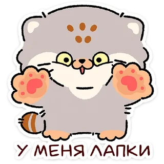 😼