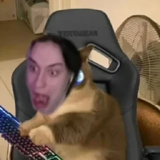 😏