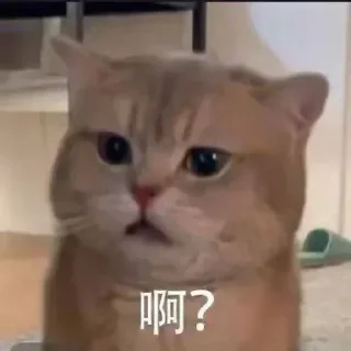 🤨