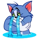 😿