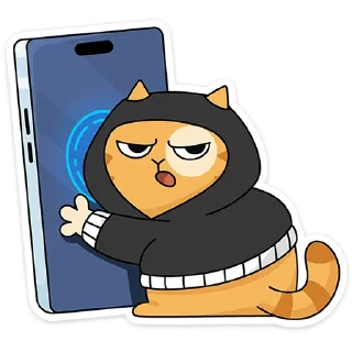 🐱