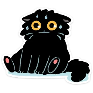 🐱
