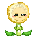 ⭐
