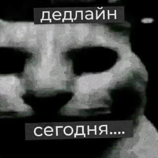 💀