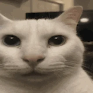 😨