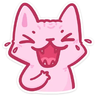 🐱