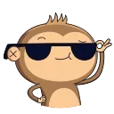 😎
