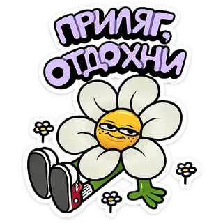 ⭐