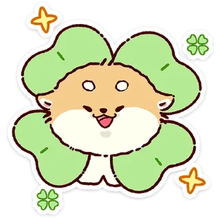 🌟