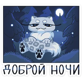 ✨
