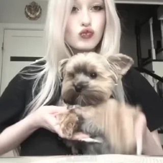 🌟