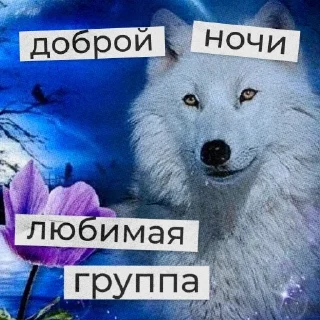 🌙