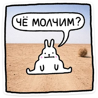 🐰