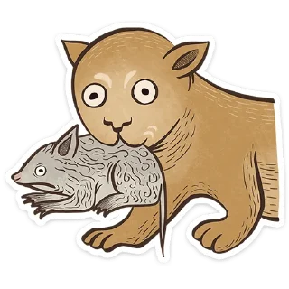 😺
