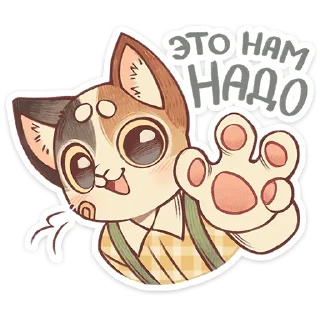 🌟