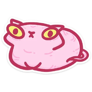 🐱