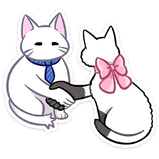 🐱
