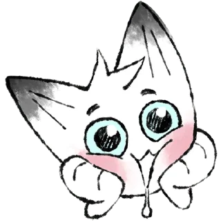 🐱