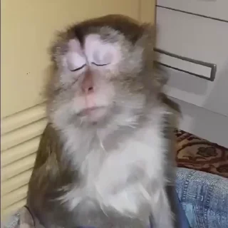 😒