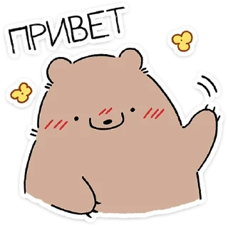 🐻