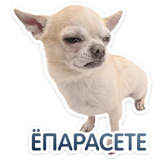 ⭐