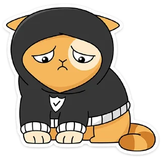 🐱