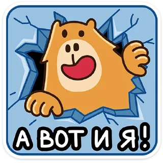 ⭐