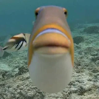 😐