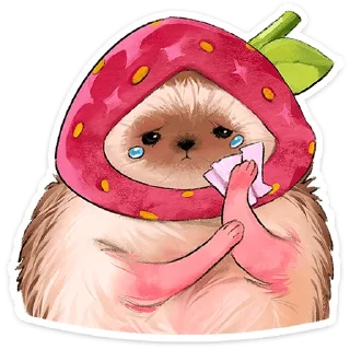 🍓
