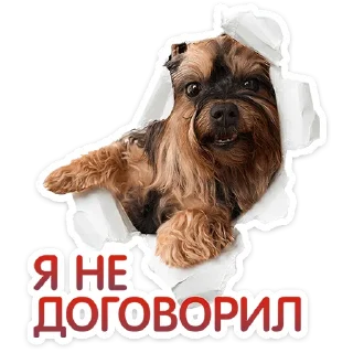 ⭐
