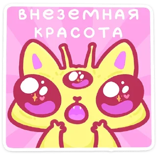 🐱