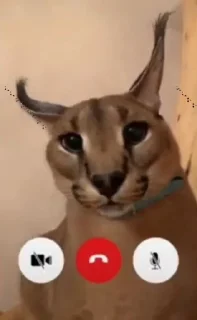 ☎️