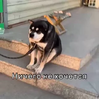 😞