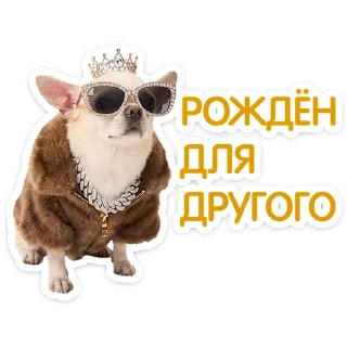 ⭐