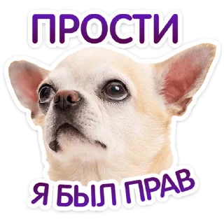 ⭐