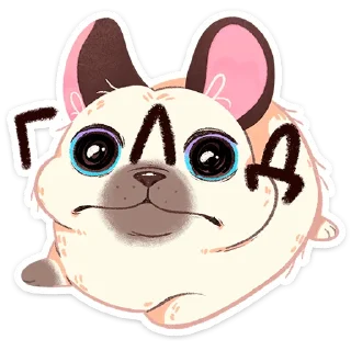 🐶