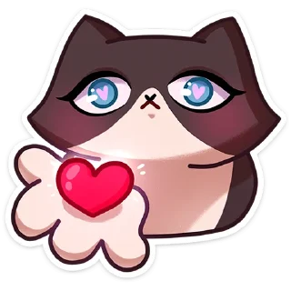 🐱
