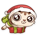 🎁