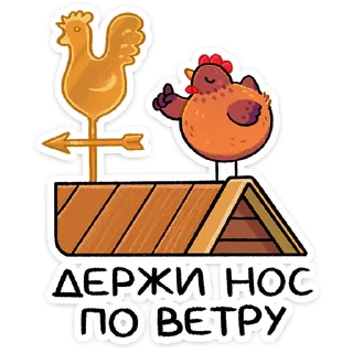 ⭐