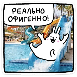 🐰