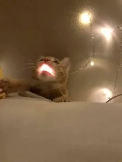 💡