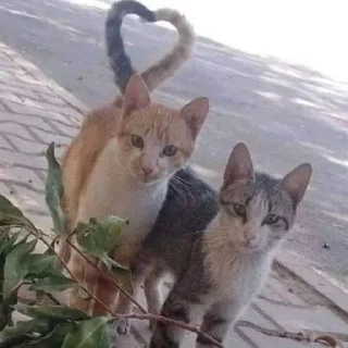 ❤️