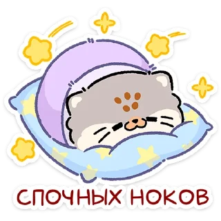 😼