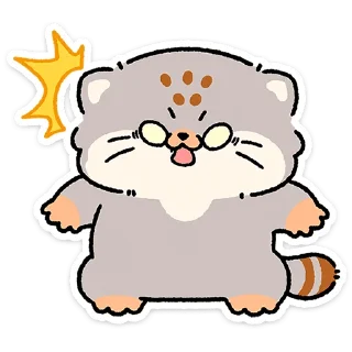 😼