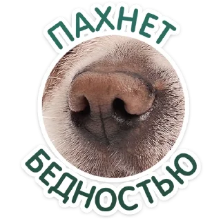 ⭐