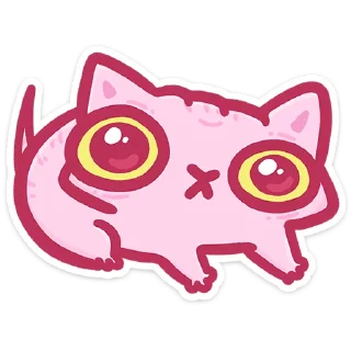 🐱