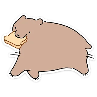 🐻
